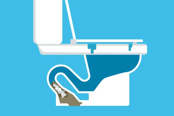 Blocked Toilet Expert in Surrey