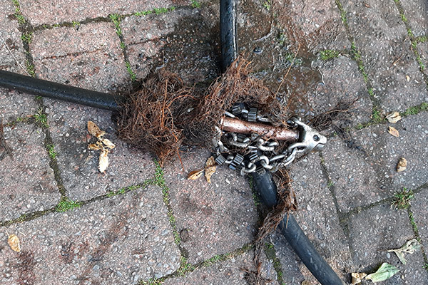 Root Cutting